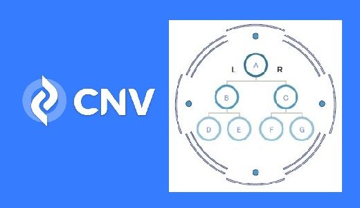 【CNV】バイナリー報酬の仕組みを解説【完全版】