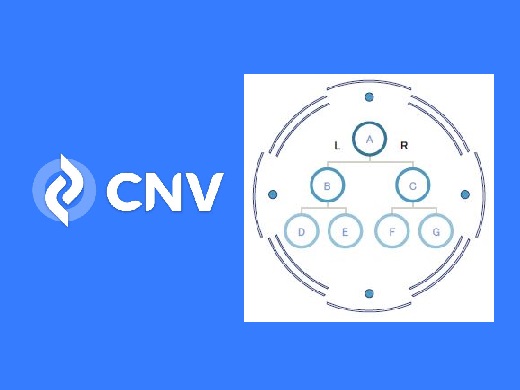 【CNV】バイナリー報酬の仕組みを解説【完全版】